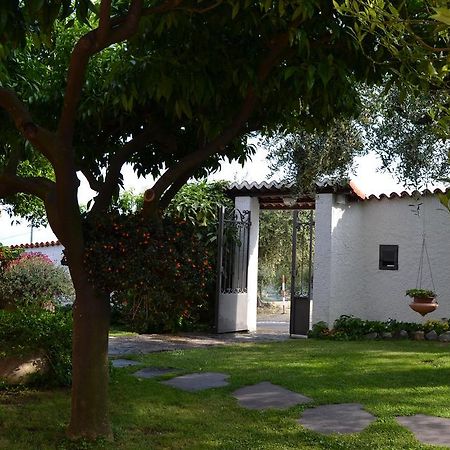 Azienda Agrituristica Villa Arianna Imperia Exteriér fotografie