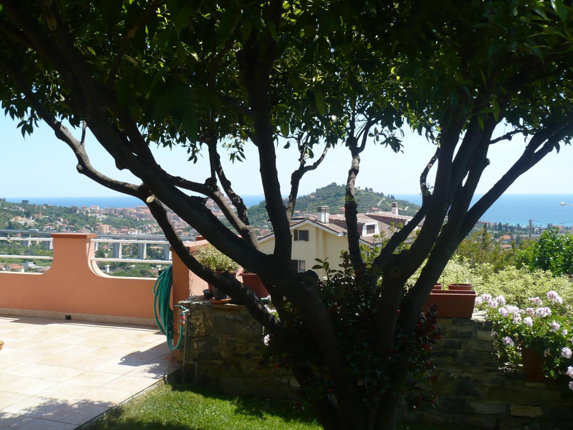 Azienda Agrituristica Villa Arianna Imperia Exteriér fotografie