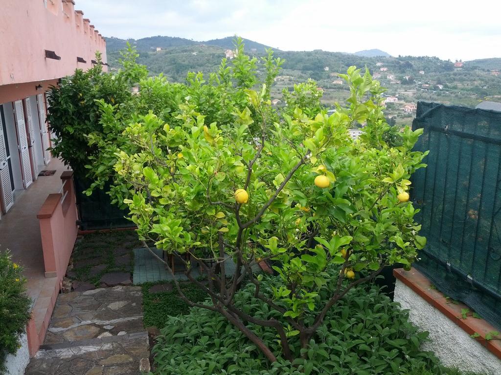 Azienda Agrituristica Villa Arianna Imperia Exteriér fotografie