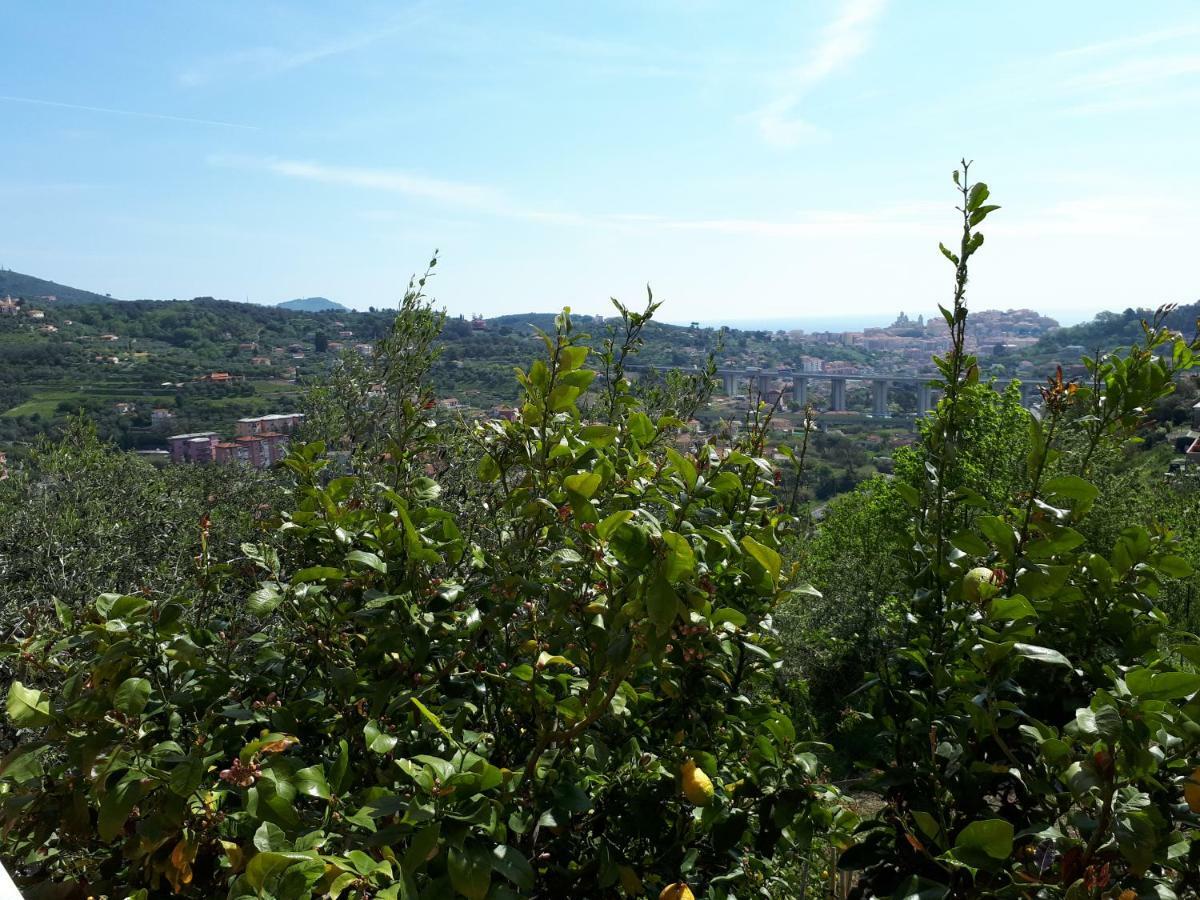 Azienda Agrituristica Villa Arianna Imperia Exteriér fotografie