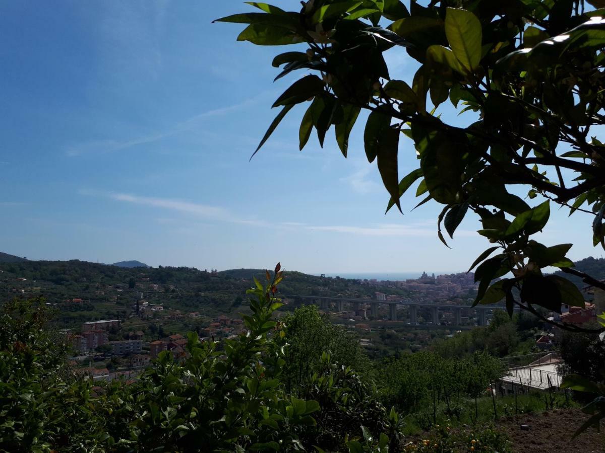 Azienda Agrituristica Villa Arianna Imperia Exteriér fotografie